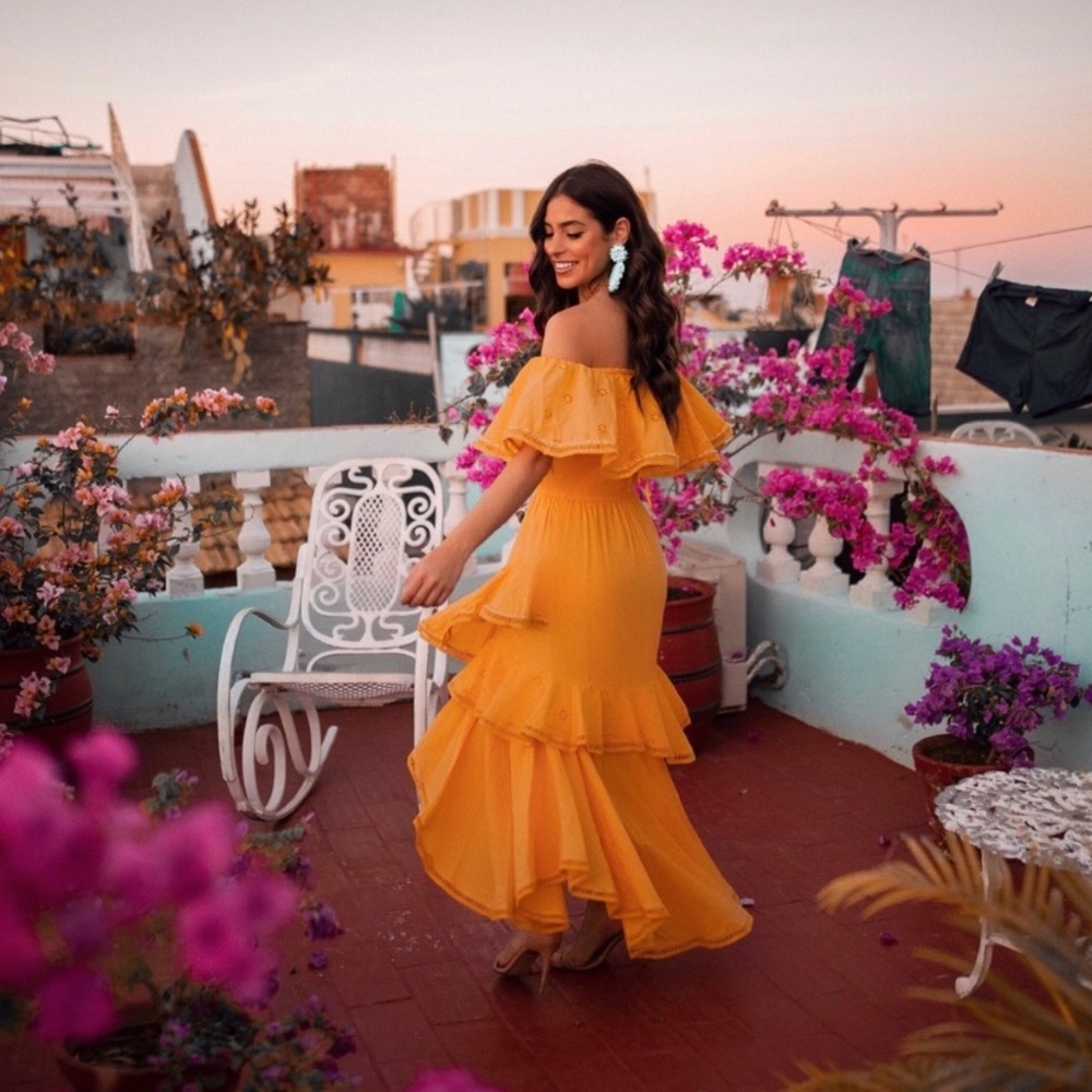 MISA Los Angeles Bethina Dress